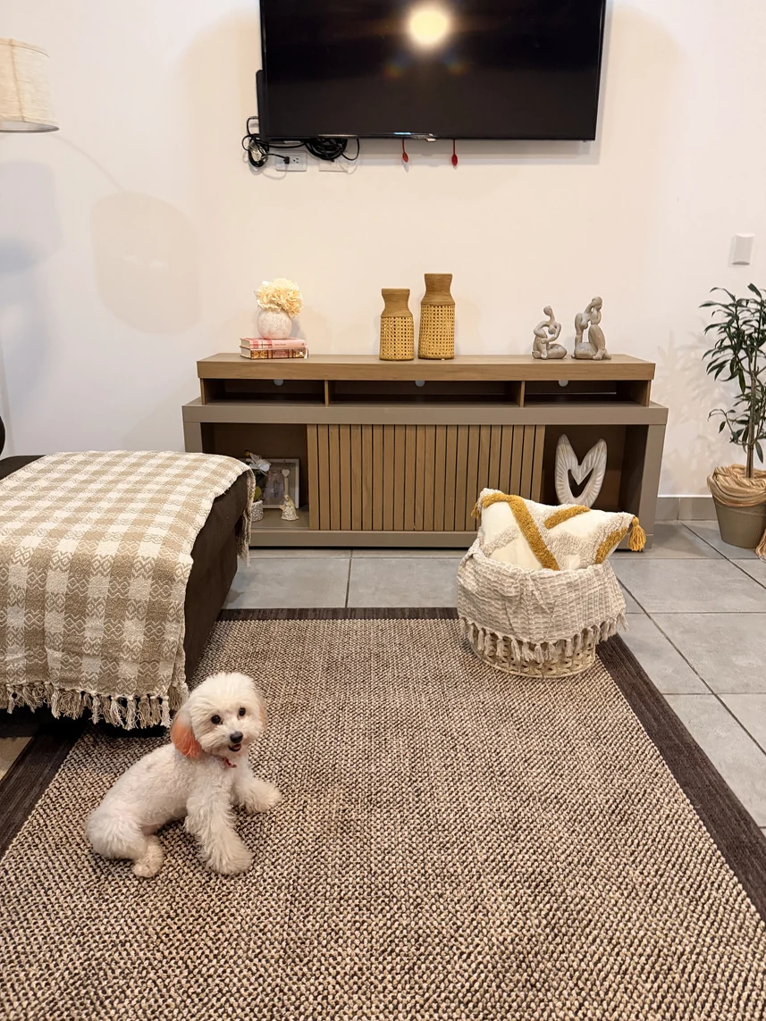 Una sala para compartir — Fotografías del brochure de Viviana Álvarez.